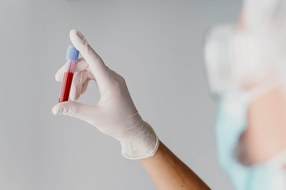 Ilustração: investigação de condições da medula óssea