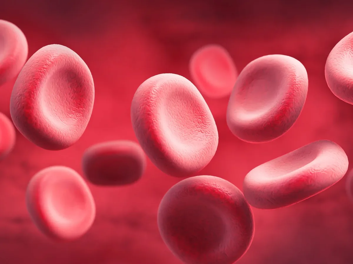 Investigação de anemias — análise hematológica