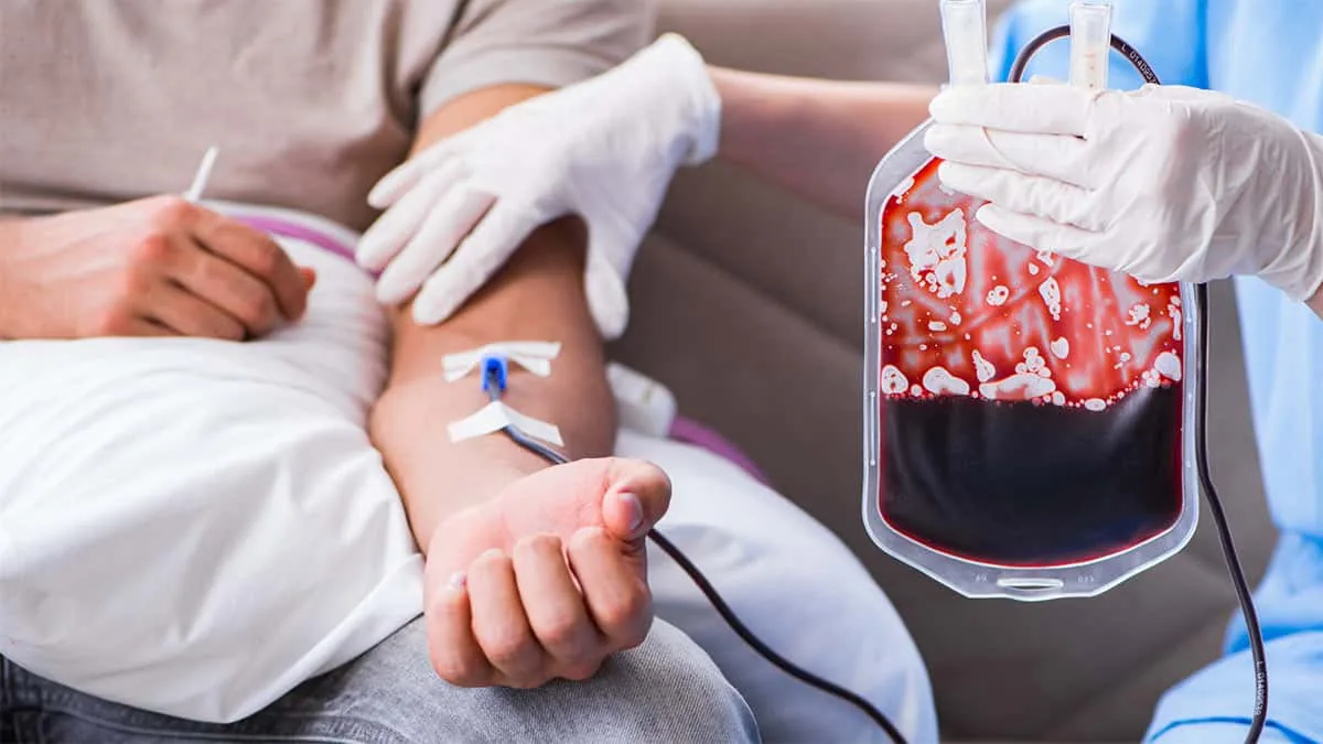 Investigação hematológica de leucócitos alterados