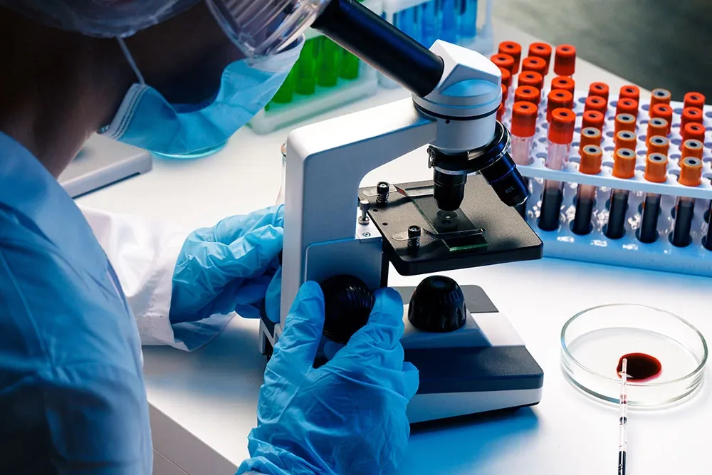 Microscópio analisando amostra de medula óssea