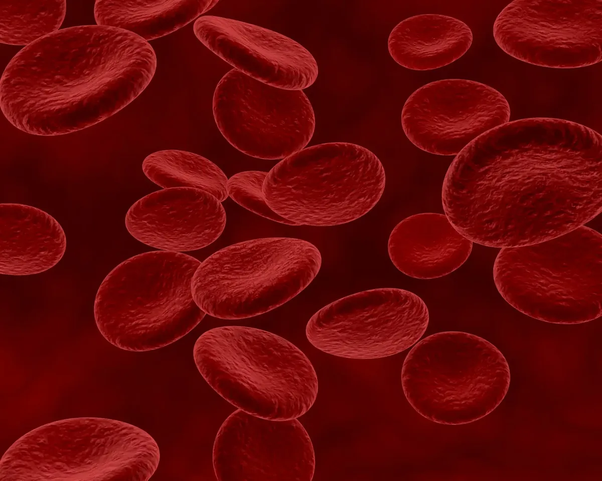 Plaquetas no sangue